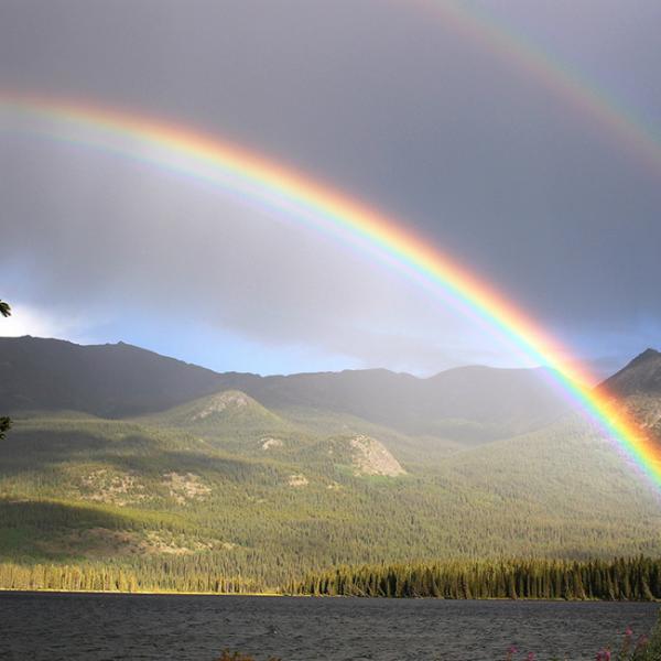 【夢占い】虹が出てくる夢 太陽・二重・夕焼け空・虹の上を歩く SPITOPI