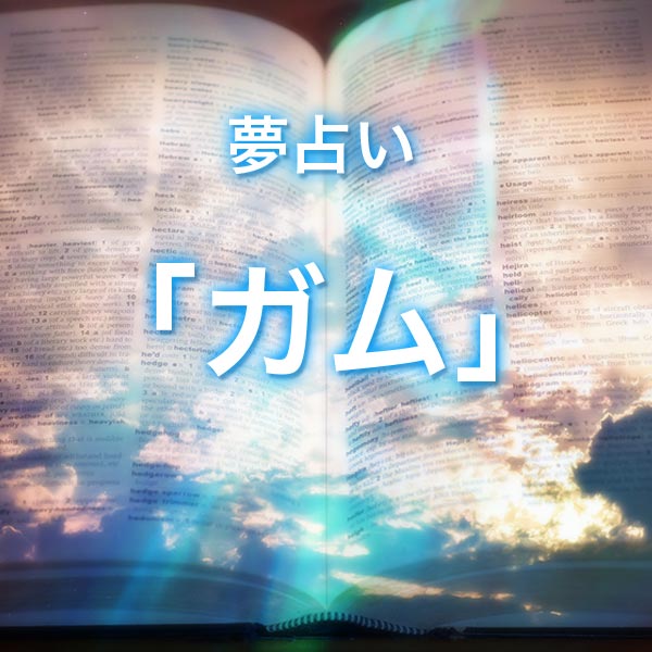 「ガム」の夢を見る意味とは？夢占いでの解釈