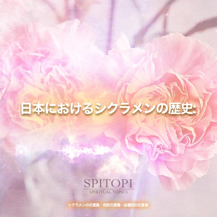 シクラメンの花言葉 色別花言葉 品種別の花言葉 Spitopi