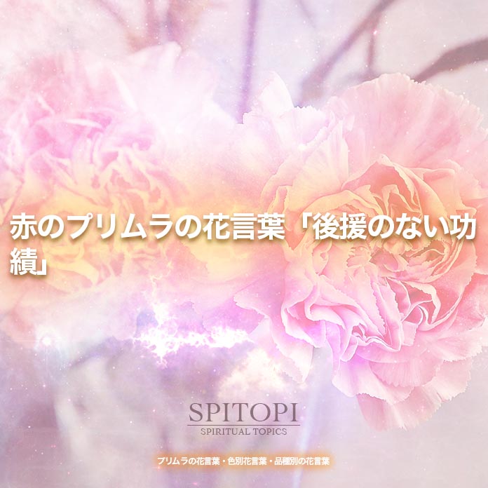 プリムラの花言葉 色別花言葉 品種別の花言葉 Spitopi