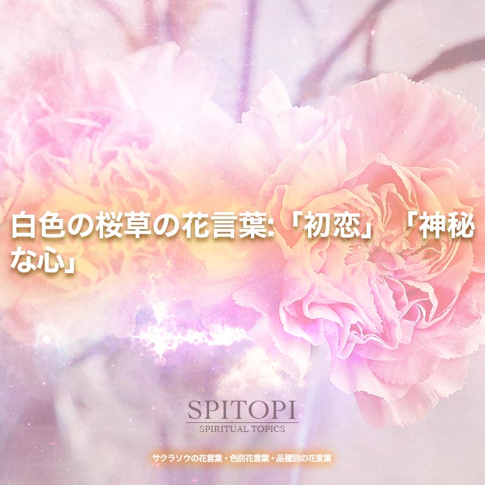 白色の桜草の花言葉:「初恋」「神秘な心」