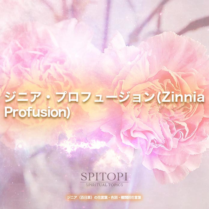 ジニア・プロフュージョン(Zinnia Profusion)