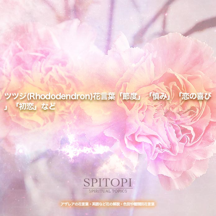 ツツジ(Rhododendron)花言葉「節度」「慎み」「恋の喜び」「初恋」など