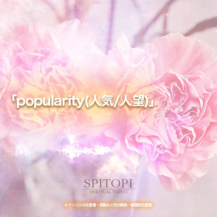 「popularity(人気/人望)」