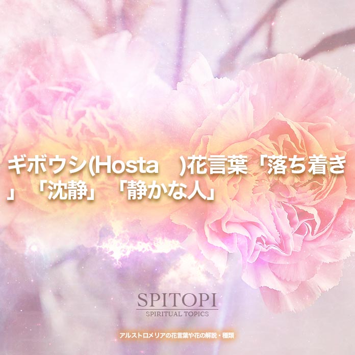 ギボウシ(Hosta )花言葉「落ち着き」「沈静」「静かな人」