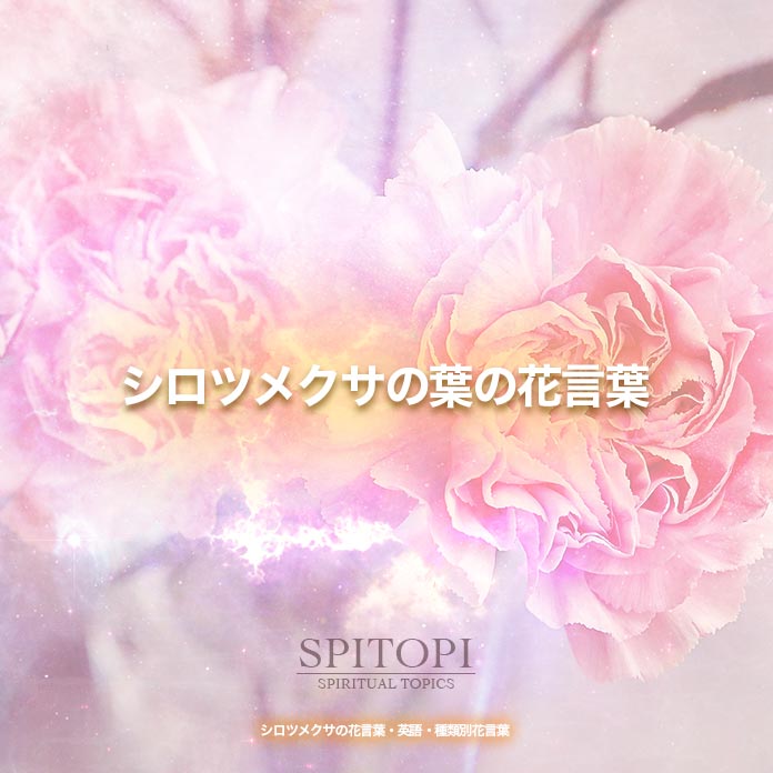 シロツメクサの花言葉 英語 種類別花言葉 Spitopi