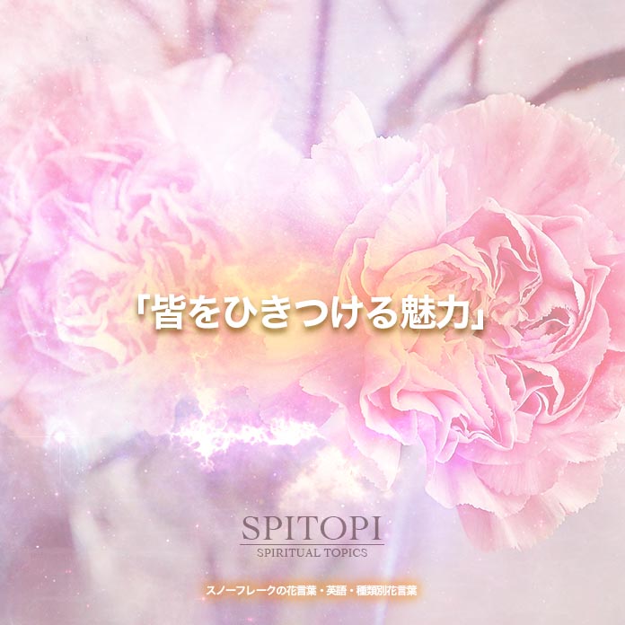 スノーフレークの花言葉 英語 種類別花言葉 Spitopi