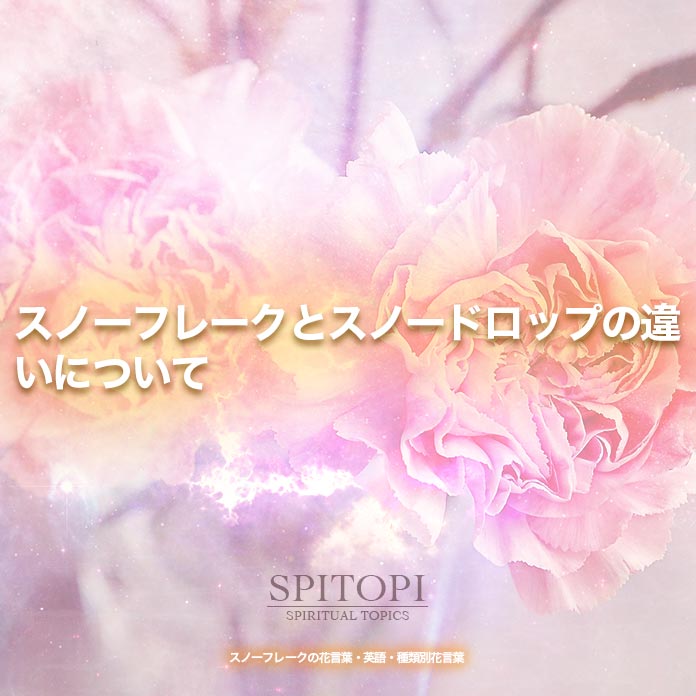 スノーフレークの花言葉 英語 種類別花言葉 Spitopi