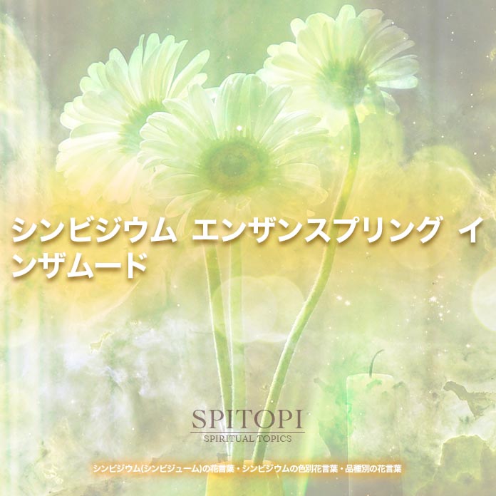 シンビジウム シンビジューム の花言葉 シンビジウムの色別花言葉 品種別の花言葉 Spitopi
