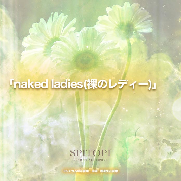 「naked ladies(裸のレディー)」