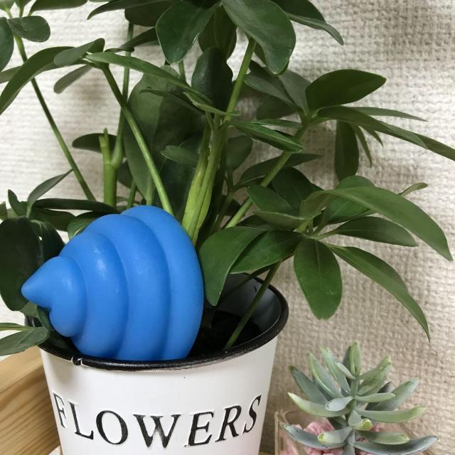 自然とうんこ