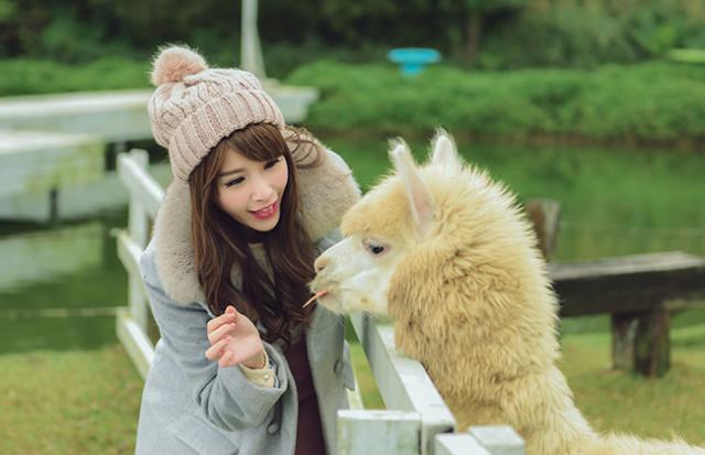 元嫁と一緒に動物が出てくる夢
