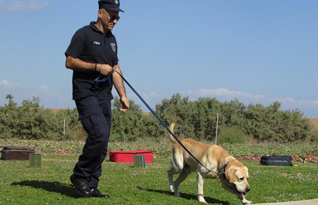警察犬に噛まれてしまう夢