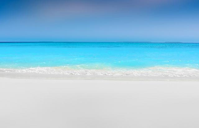 海に好きな人といる場合の夢