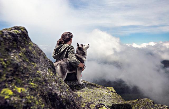 犬のうんこを食べて不快に感じる夢