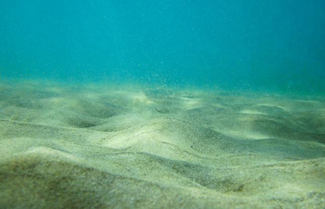 海の上で相撲遊びをしていて落ちる夢